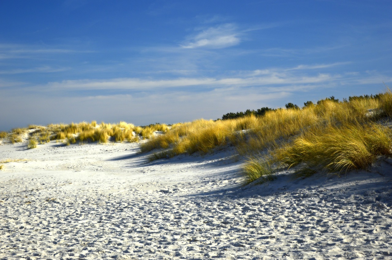 découvrez les merveilles des villes côtières, alliant beauté naturelle, culture riche et activités passionnantes. explorez des plages idylliques, des ports animés et une gastronomie locale délicieuse dans ces destinations exceptionnelles.