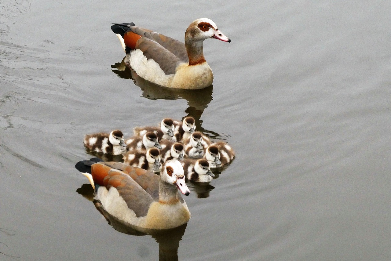 découvrez l'importance de la famille, ses liens indéfectibles et son rôle fondamental dans notre vie. explorez des conseils, des expériences et des idées pour renforcer les relations familiales et créer des souvenirs inoubliables.