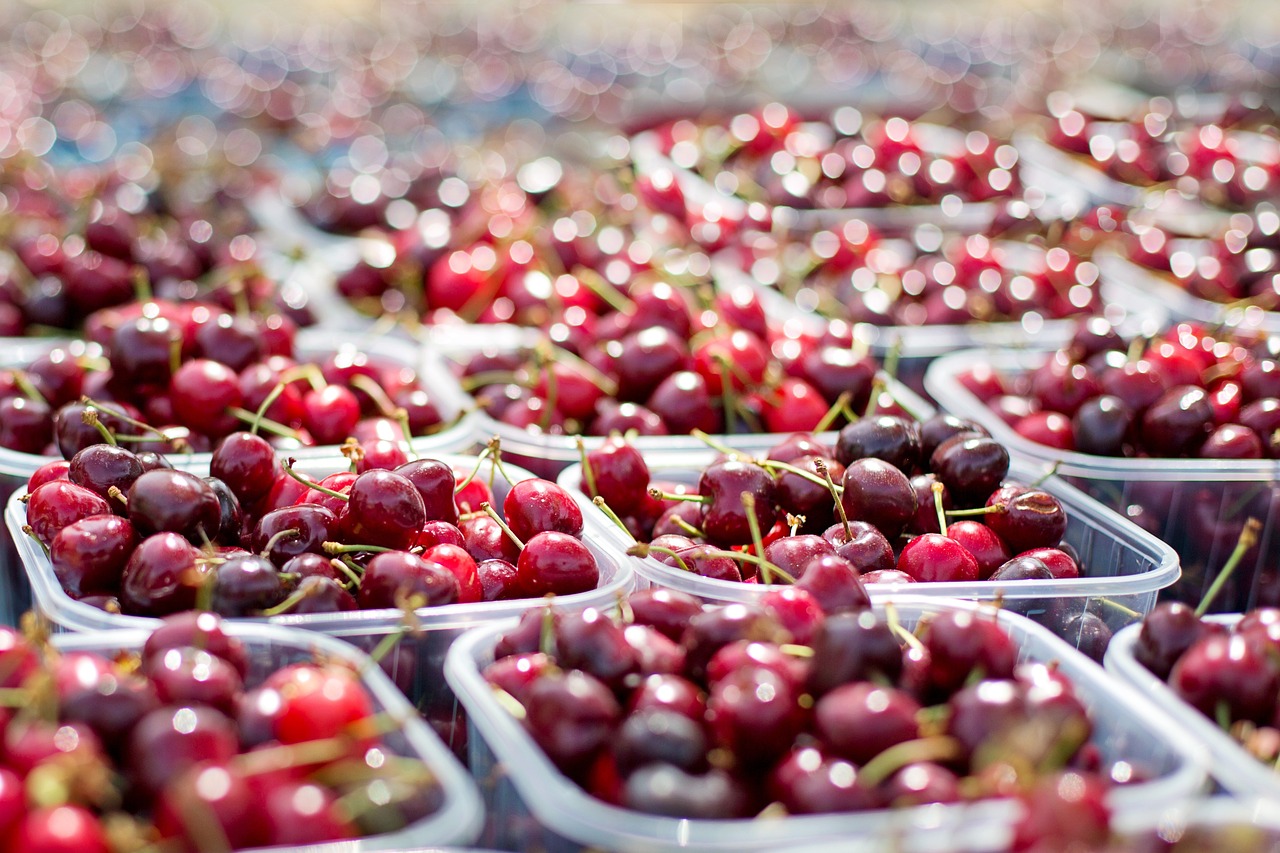 découvrez les marchés alimentaires où la fraîcheur et la diversité des produits locaux se rencontrent. explorez des saveurs uniques, rencontrez des producteurs passionnés et profitez d'une expérience culinaire authentique qui éveillera vos sens.