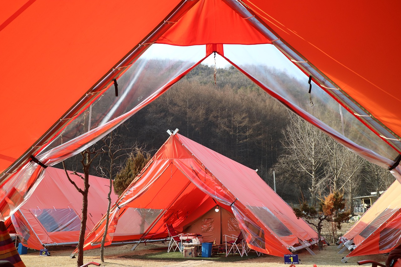 découvrez l'univers du glamping, une expérience unique alliant le confort du luxe à la beauté de la nature. vivez des séjours inoubliables dans des hébergements atypiques et raffinés tout en vous reconnectant avec l'environnement.