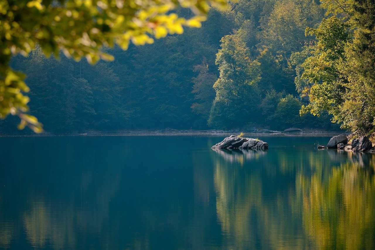 découvrez des lacs enchanteurs aux paysages à couper le souffle. plongez dans la nature, explorez des activités nautiques, et laissez-vous séduire par la beauté sereine de ces trésors aquatiques.