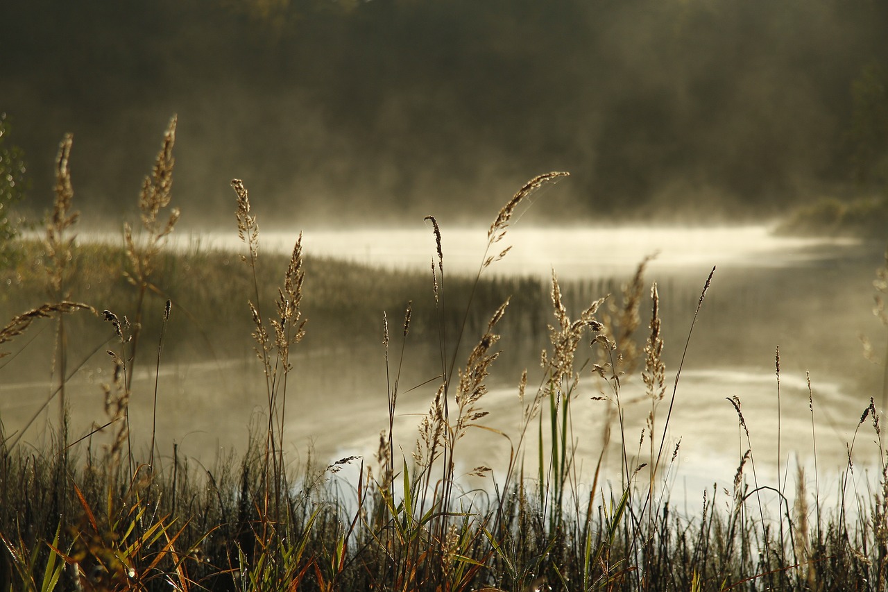 découvrez la beauté des lacs, des havres de paix où la nature s'épanouit en toute splendeur. explorez les activités nautiques, la faune et la flore environnantes, et laissez-vous séduire par des paysages apaisants qui invitent à la détente et à l'évasion.