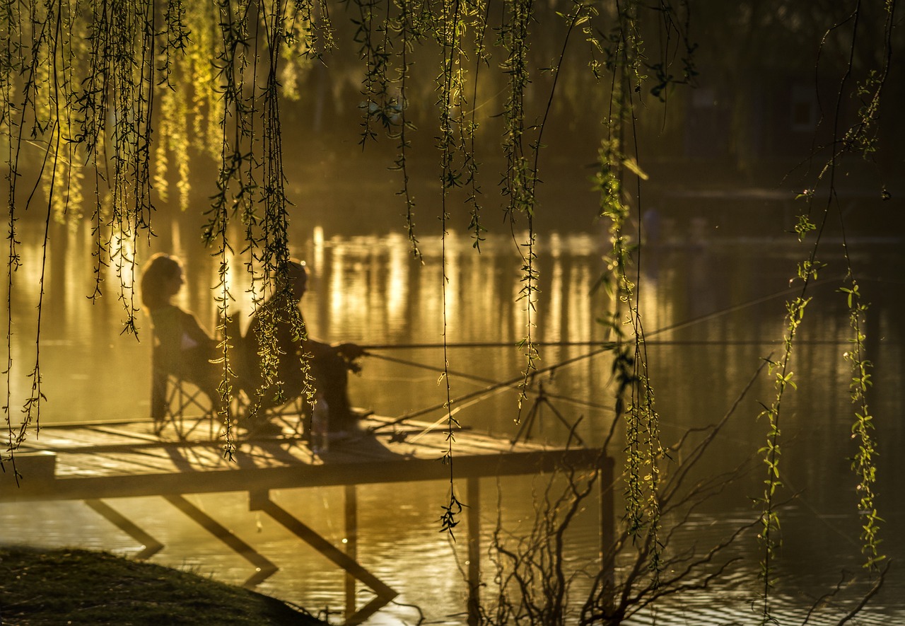 découvrez la beauté des lacs, ces trésors naturels qui offrent des paysages à couper le souffle, des activités récréatives pour toute la famille et un havre de paix pour les amoureux de la nature. plongez dans l'exploration des lacs les plus enchanteurs et trouvez l'inspiration pour votre prochaine aventure en plein air.