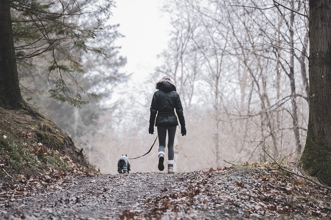 découvrez un monde d'aventures en plein air avec nos activités montagne. que vous soyez passionné de randonnée, d'escalade, de ski ou de vtt, vivez des expériences inoubliables au cœur des paysages grandioses. rejoignez-nous pour explorer la beauté des montagnes tout en pratiquant des sports exaltants.