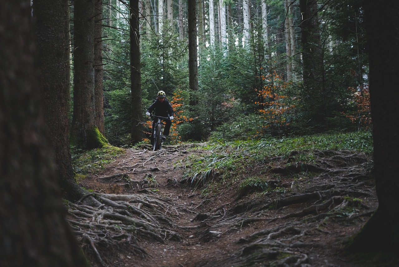 découvrez l'adrénaline du vtt à travers des paysages époustouflants. que vous soyez débutant ou expert, explorez les meilleurs sentiers, trouvez des conseils d'équipement et profitez de l'aventure en plein air!