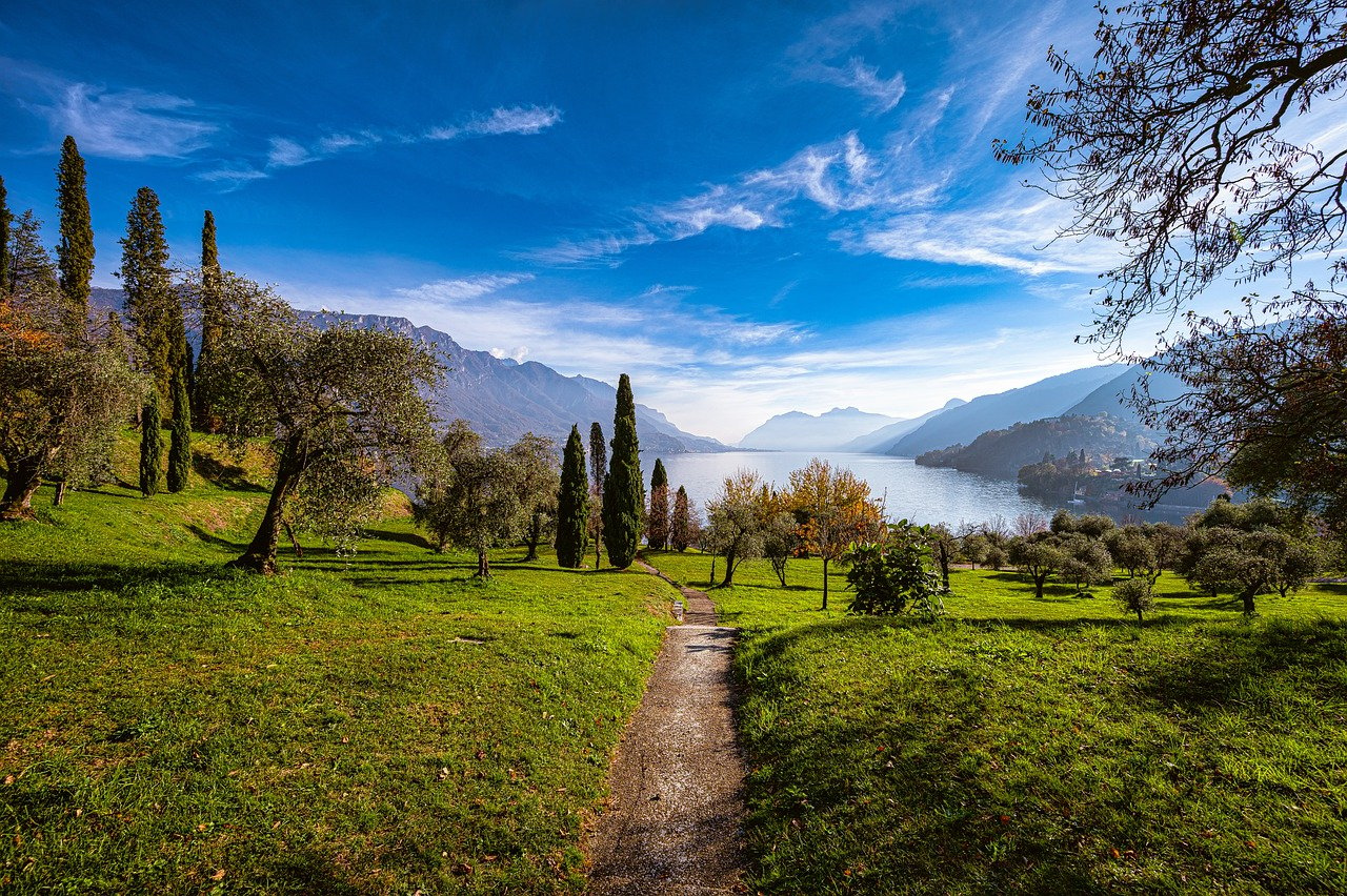 découvrez des retraites de nature apaisantes, idéales pour se ressourcer et se reconnecter avec soi-même. profitez d'activités en plein air, de méditation et de moments de détente dans des paysages enchanteurs.