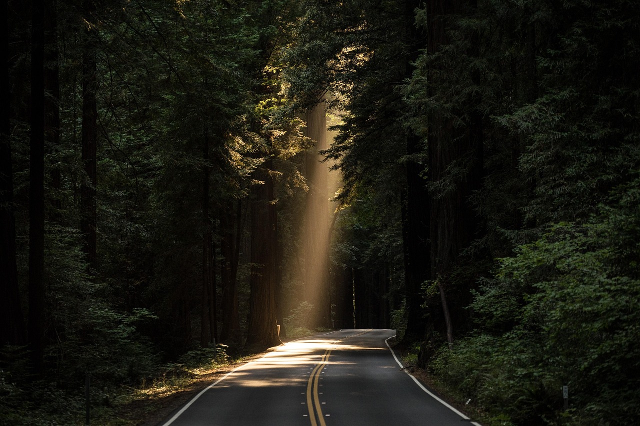 découvrez les routes côtières pittoresques qui offrent des panoramas à couper le souffle et des paysages marins à explorer. parfait pour les amoureux de la nature et les aventuriers en quête de découvertes, ces trajets vous emmèneront à travers des criques cachées, des falaises majestueuses et des villages charmants, tout en savourant la beauté de l'océan.