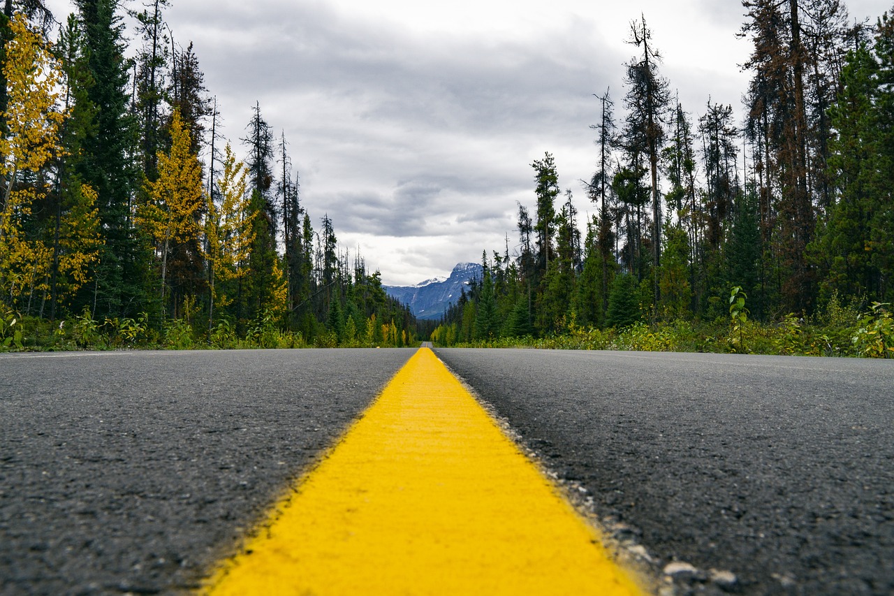 découvrez les routes pittoresques qui serpentent à travers des paysages à couper le souffle. parfaites pour les amateurs de balades en voiture, ces itinéraires vous emmèneront au cœur de la nature, des montagnes majestueuses aux côtes enchanteresses. préparez-vous à une expérience inoubliable pleine de panoramas éblouissants et de moments de détente.