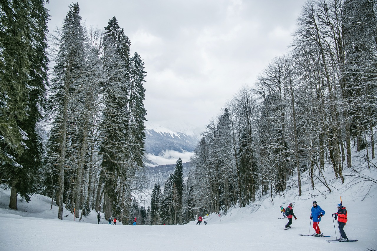 découvrez les meilleures stations de ski pour des vacances inoubliables en montagne. profitez de paysages magnifiques, de pistes variées et d'activités pour tous les niveaux. préparez-vous à vivre des moments de glisse exceptionnels et à vous ressourcer au cœur des alpes.