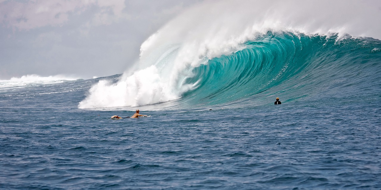 découvrez l'univers passionnant du surf : conseils pratiques, meilleures destinations, équipements indispensables et astuces pour débutants et confirmés. préparez-vous à conquérir les vagues et vivre des sensations inoubliables sur l'eau.