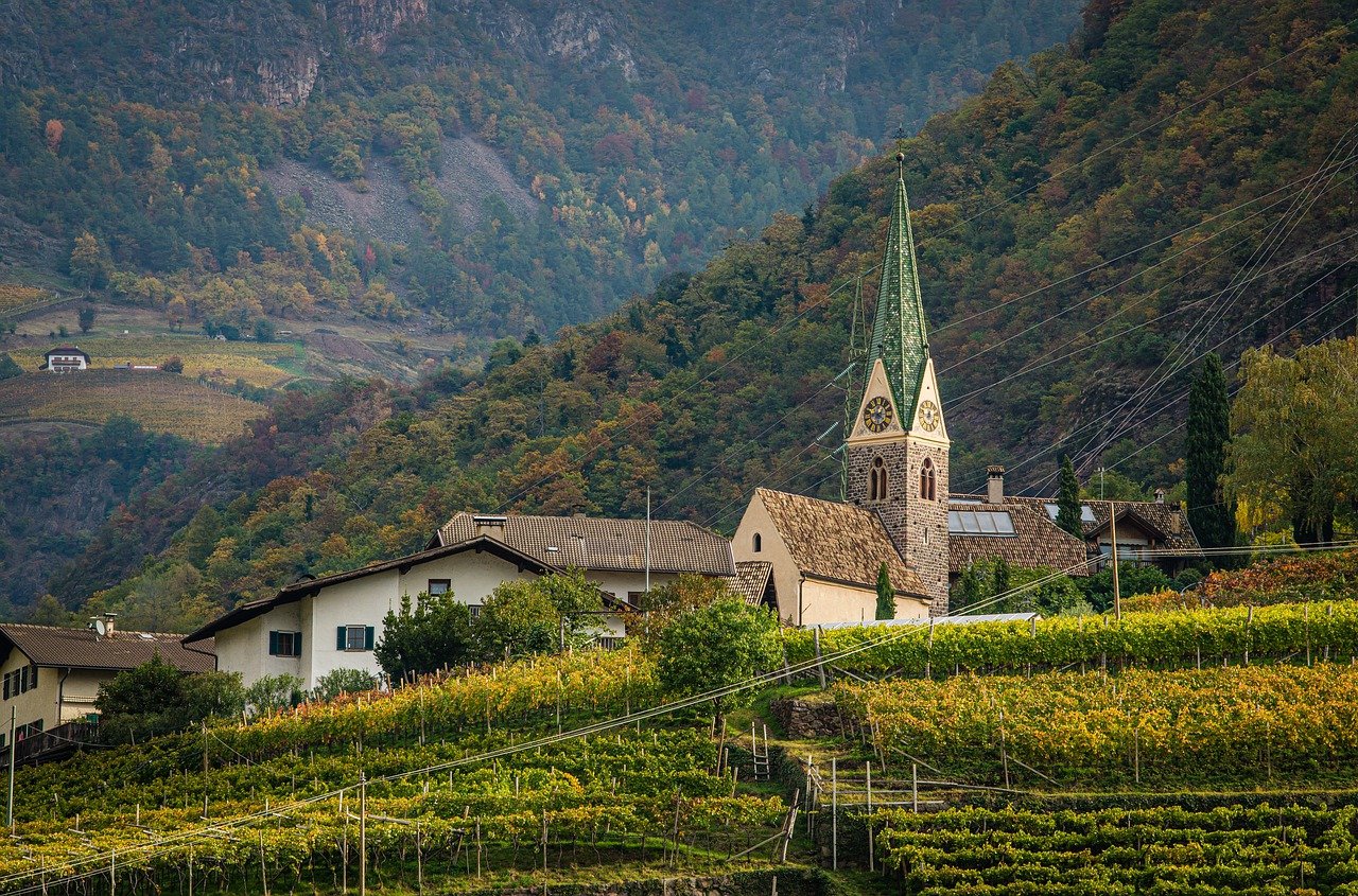 découvrez l'univers fascinant des vignobles, où tradition et excellence se mêlent pour produire des vins d'exception. explorez les différents types de raisins, les techniques de vinification et les paysages enchanteurs des régions viticoles de france.