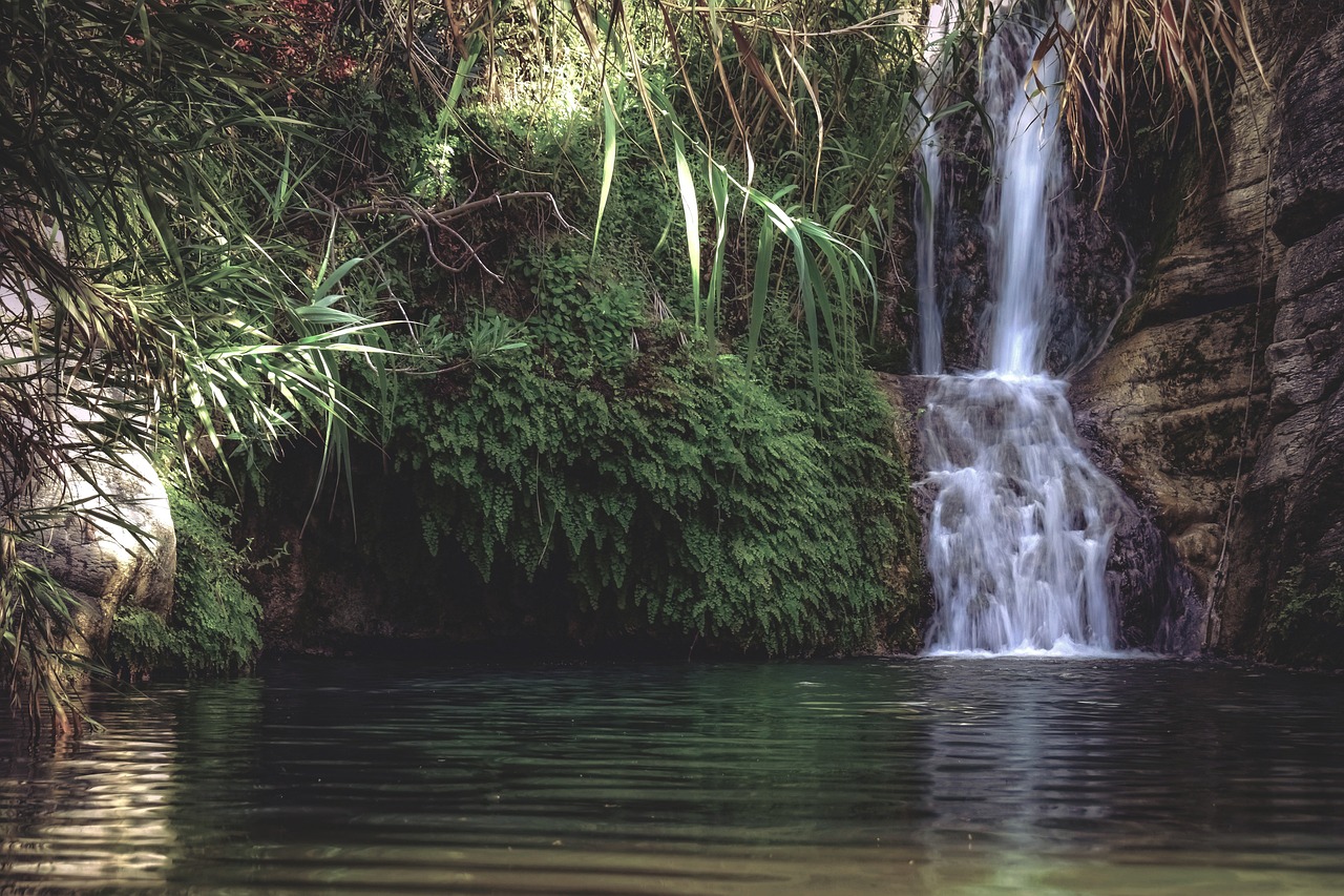 découvrez la beauté époustouflante des cascades à travers le monde. admirez la puissance de l'eau, explorez des paysages à couper le souffle et laissez-vous emporter par le murmure apaisant des chutes. parfait pour les amateurs de nature et d'aventure.