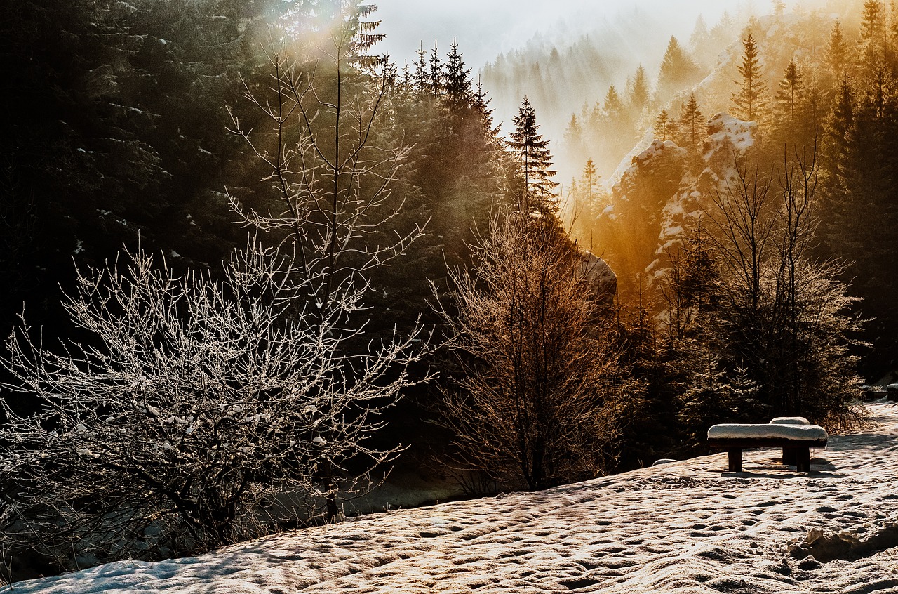 découvrez des activités de plein air hivernales passionnantes pour profiter de la neige et du froid. que ce soit le ski, la randonnée, la raquette ou les promenades en traîneau, trouvez l'inspiration pour des aventures mémorables en plein air durant l'hiver.