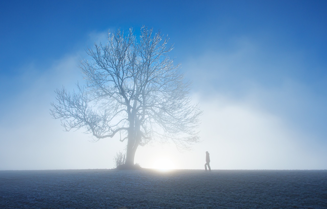 découvrez les meilleures activités de plein air d'hiver pour profiter pleinement de la saison froide. que vous aimiez le ski, la raquette, ou les promenades en traîneau, trouvez des idées amusantes et revigorantes pour passer des moments inoubliables en nature.