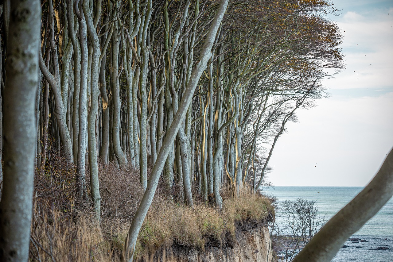 découvrez la beauté de la nature à travers ses paysages époustouflants, sa faune diversifiée et ses merveilles écologiques. plongez dans un monde de sérénité, d'aventures et de découvertes inoubliables.