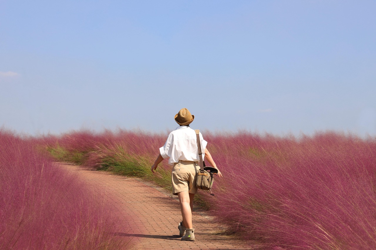 découvrez les saisons de voyage idéales pour explorer le monde ! que vous soyez amateur de plages ensoleillées, de paysages enneigés ou de festivals colorés, trouvez la période parfaite pour votre prochaine aventure.