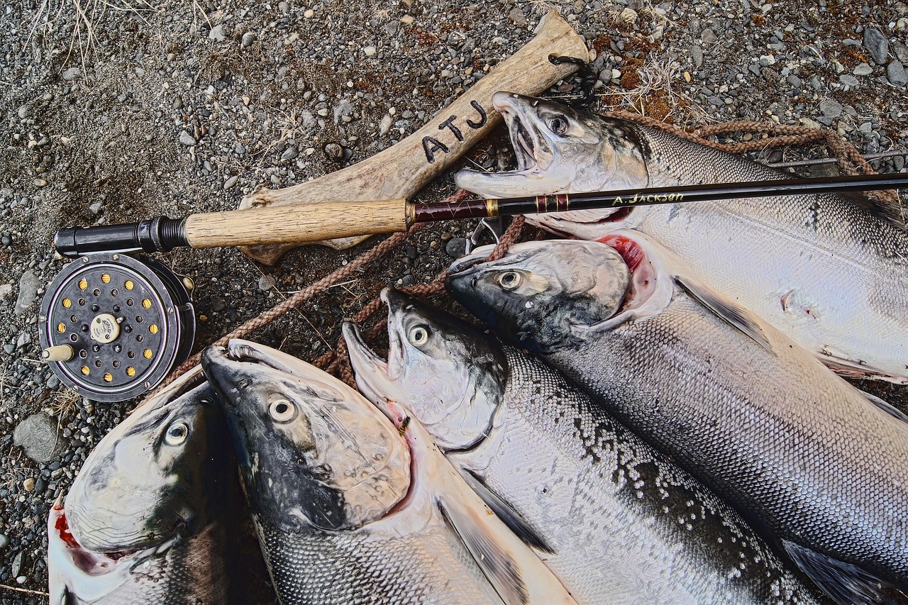 découvrez l'art de la pêche à la mouche, une activité relaxante en pleine nature. apprenez les techniques, les équipements nécessaires et les meilleurs spots pour profiter de moments inoubliables au bord de l'eau.