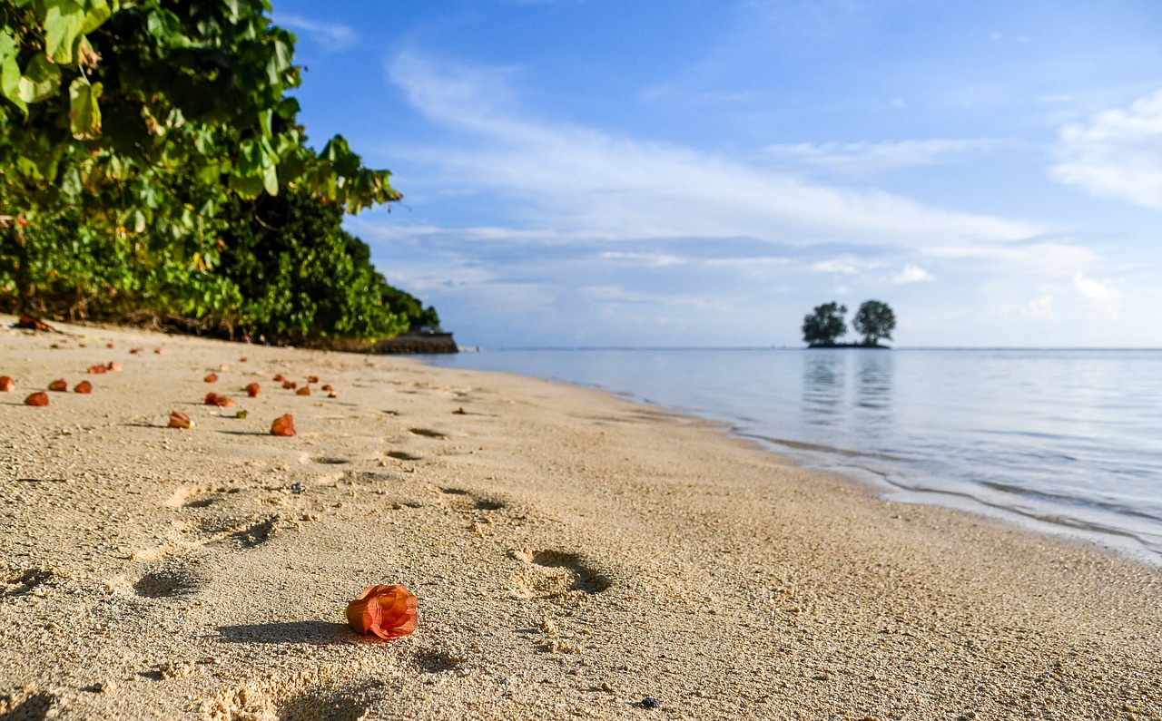 découvrez le luxe d'une escapade en bord de mer avec notre gamme d'hébergements en frontline beach. profitez de vues imprenables, de plages de sable fin et d'activités nautiques inoubliables dans un cadre idyllique.