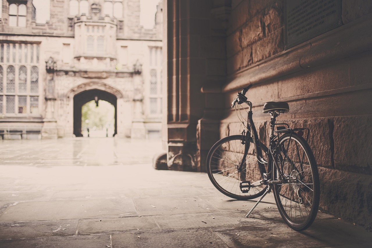 découvrez les plaisirs du cyclisme avec nos conseils, itinéraires et astuces pour une expérience de biking inoubliable. que vous soyez débutant ou expert, améliorez vos compétences et explorez de magnifiques paysages à deux roues.