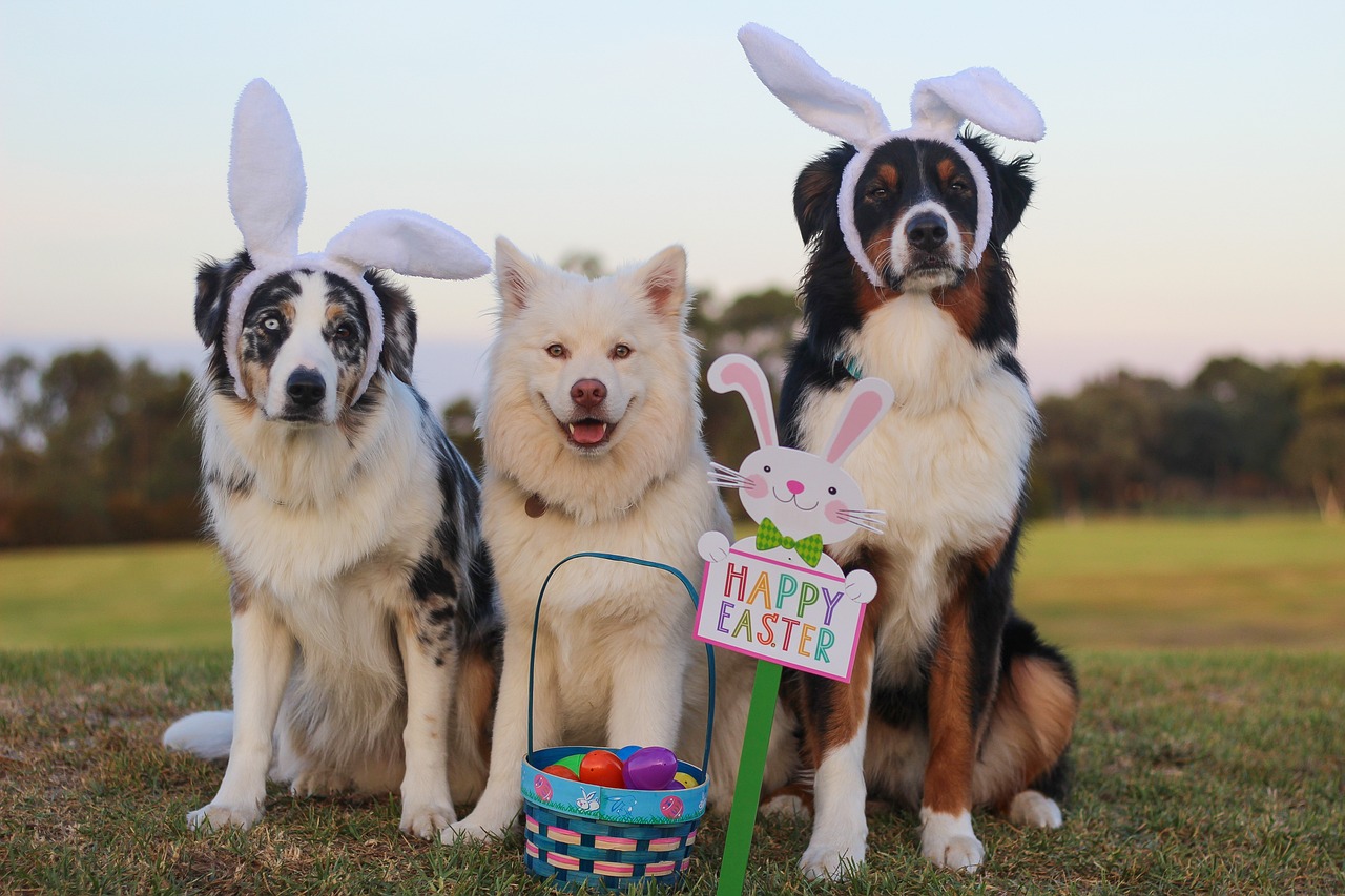 découvrez les traditions et les célébrations de pâques à travers le monde. plongez dans l'esprit festif avec des recettes gourmandes, des idées de décoration et des activités amusantes pour toute la famille.