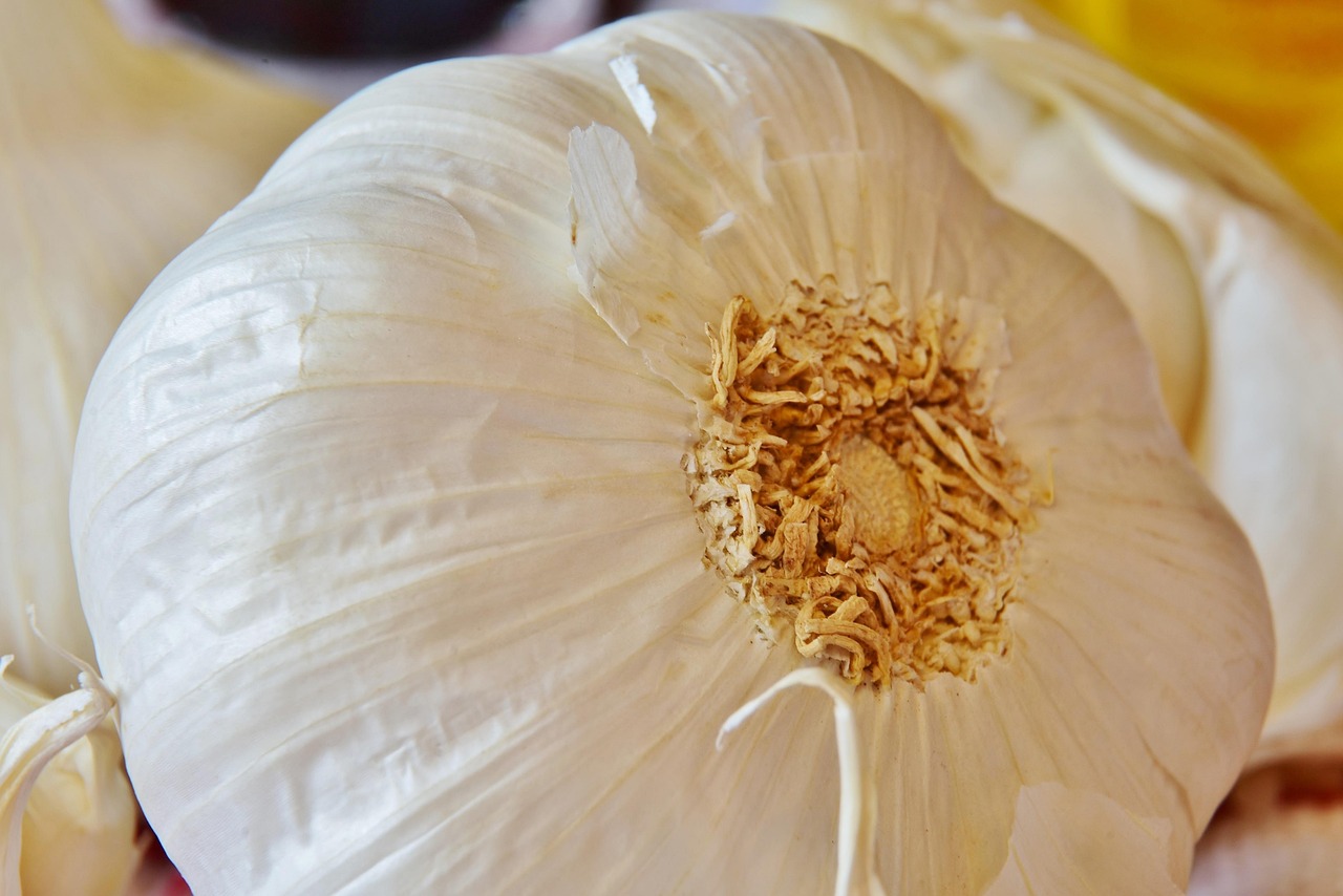 découvrez un monde de saveurs avec notre sélection unique de goûts raffinés et authentiques. que vous soyez amateur de douceurs sucrées ou de délices salés, explorez des combinaisons audacieuses qui éveilleront vos papilles et enrichiront vos expériences culinaires.