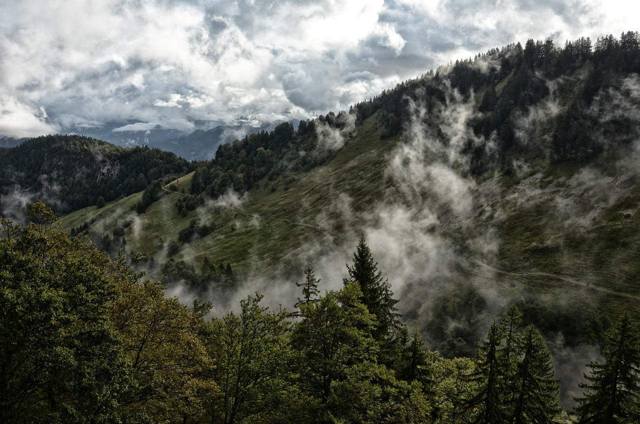 découvrez les meilleures destinations de randonnée à travers le monde, que vous soyez un aventurier débutant ou un randonneur expérimenté. explorez des paysages à couper le souffle et des sentiers variés qui vous rapprocheront de la nature.