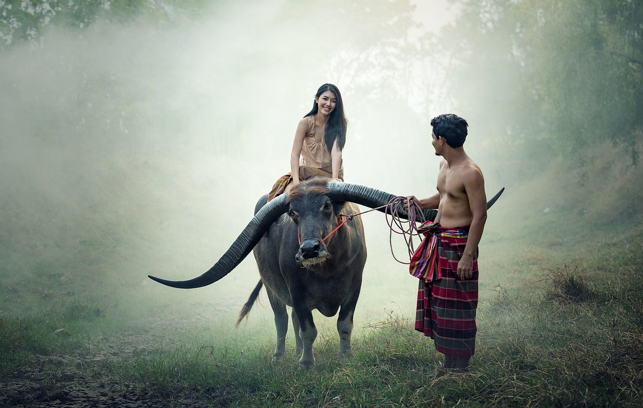 découvrez les traditions rurales à travers les âges, des coutumes authentiques aux savoir-faire ancestraux qui perpétuent l'identité des communautés villageoises. plongez dans un monde où la nature et la culture s'entrelacent pour célébrer un mode de vie riche et intemporel.