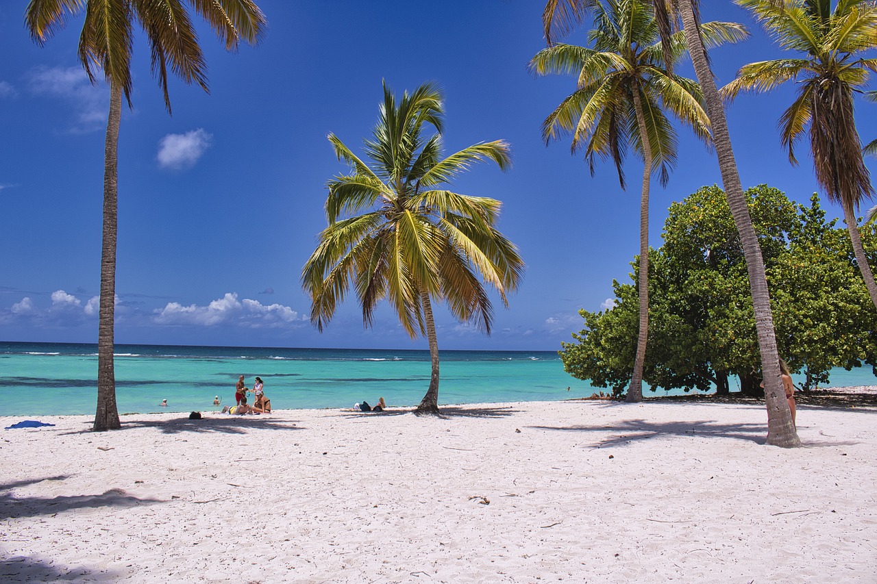 découvrez les saisons de voyage idéales pour explorer le monde. que vous soyez amateur de plages ensoleillées, de paysages enneigés ou d'automne coloré, plongez dans notre guide pour planifier vos prochaines aventures tout au long de l'année.