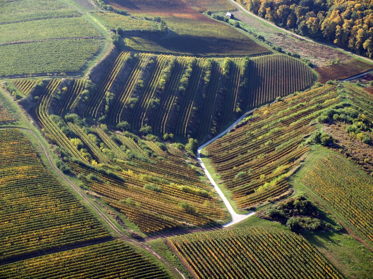 découvrez les régions viticoles fascinantes du monde, où chaque terroir raconte une histoire unique à travers ses vins. explorez les cépages emblématiques, les traditions viticoles et les paysages à couper le souffle qui font de chaque région un véritable paradis pour les amateurs de vin.