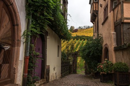 découvrez l'alsace, une région pittoresque de france connue pour ses charmants villages, sa délicieuse cuisine, ses vins renommés et son riche patrimoine culturel. partez à la rencontre de paysages à couper le souffle et d'une histoire fascinante.