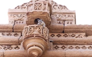 découvrez les événements marquants, les personnages emblématiques et les évolutions culturelles qui ont façonné notre histoire. plongez dans le passé pour mieux comprendre le présent.