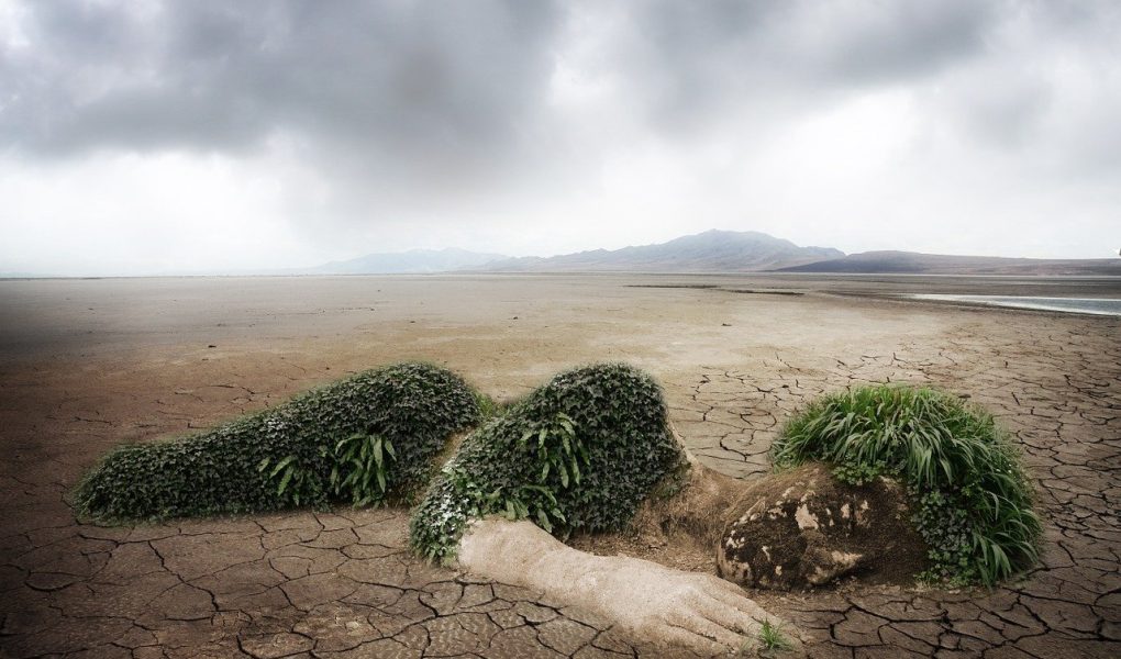 découvrez l'écologie, une science essentielle pour comprendre les interactions entre les êtres vivants et leur environnement. explorez les enjeux de la conservation, la biodiversité et les solutions pour un avenir durable.