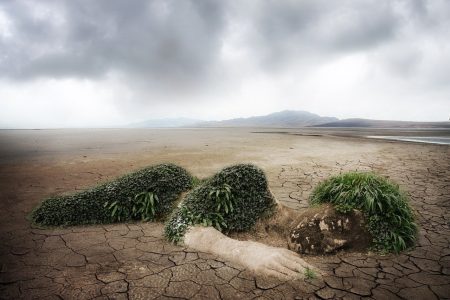 découvrez l'écologie, une science essentielle pour comprendre les interactions entre les êtres vivants et leur environnement. explorez les enjeux de la conservation, la biodiversité et les solutions pour un avenir durable.