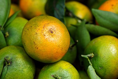 découvrez l'art de la gastronomie organique, une fusion de saveurs authentiques et d'ingrédients naturels. explorez des recettes délicieuses et saines, tout en respectant l'environnement et en soutenant l'agriculture durable.