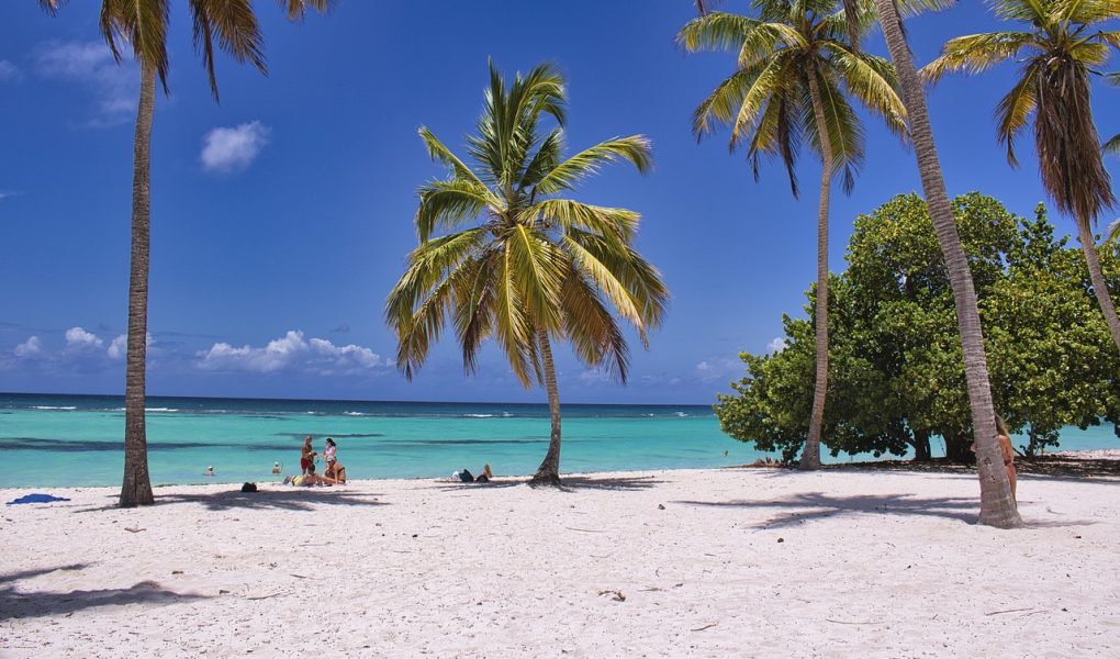 découvrez des destinations fascinantes à travers le monde. explorez des paysages époustouflants, des cultures riches et des expériences inoubliables qui font de chaque voyage une aventure unique. que vous recherchiez des plages paradisiaques, des villes animées ou des retraites tranquilles, trouvez l'inspiration pour votre prochaine escapade.