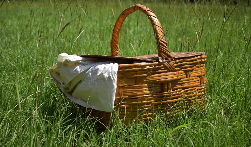 découvrez l'art des pique-niques parfaits avec nos conseils et idées pour savourer des moments inoubliables en plein air. explorez des recettes délicieuses, des astuces d'organisation et des lieux idéaux pour profiter de la nature.