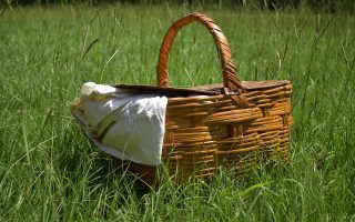 découvrez l'art des pique-niques parfaits avec nos conseils et idées pour savourer des moments inoubliables en plein air. explorez des recettes délicieuses, des astuces d'organisation et des lieux idéaux pour profiter de la nature.
