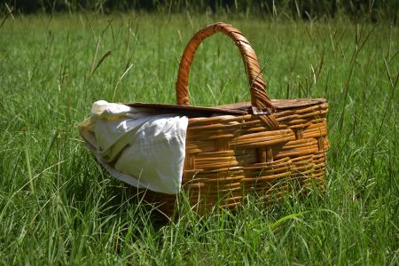 découvrez l'art des pique-niques parfaits avec nos conseils et idées pour savourer des moments inoubliables en plein air. explorez des recettes délicieuses, des astuces d'organisation et des lieux idéaux pour profiter de la nature.