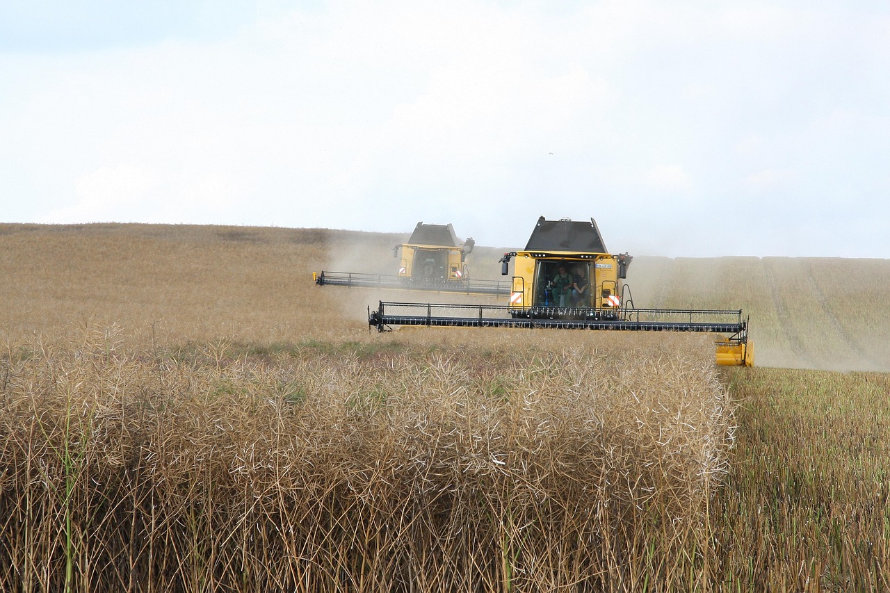 découvrez le monde fascinant de l'agriculture, ses méthodes innovantes, ses pratiques durables et son impact sur notre quotidien. explorez les tendances, les technologies et les défis auxquels le secteur fait face pour nourrir la population mondiale.