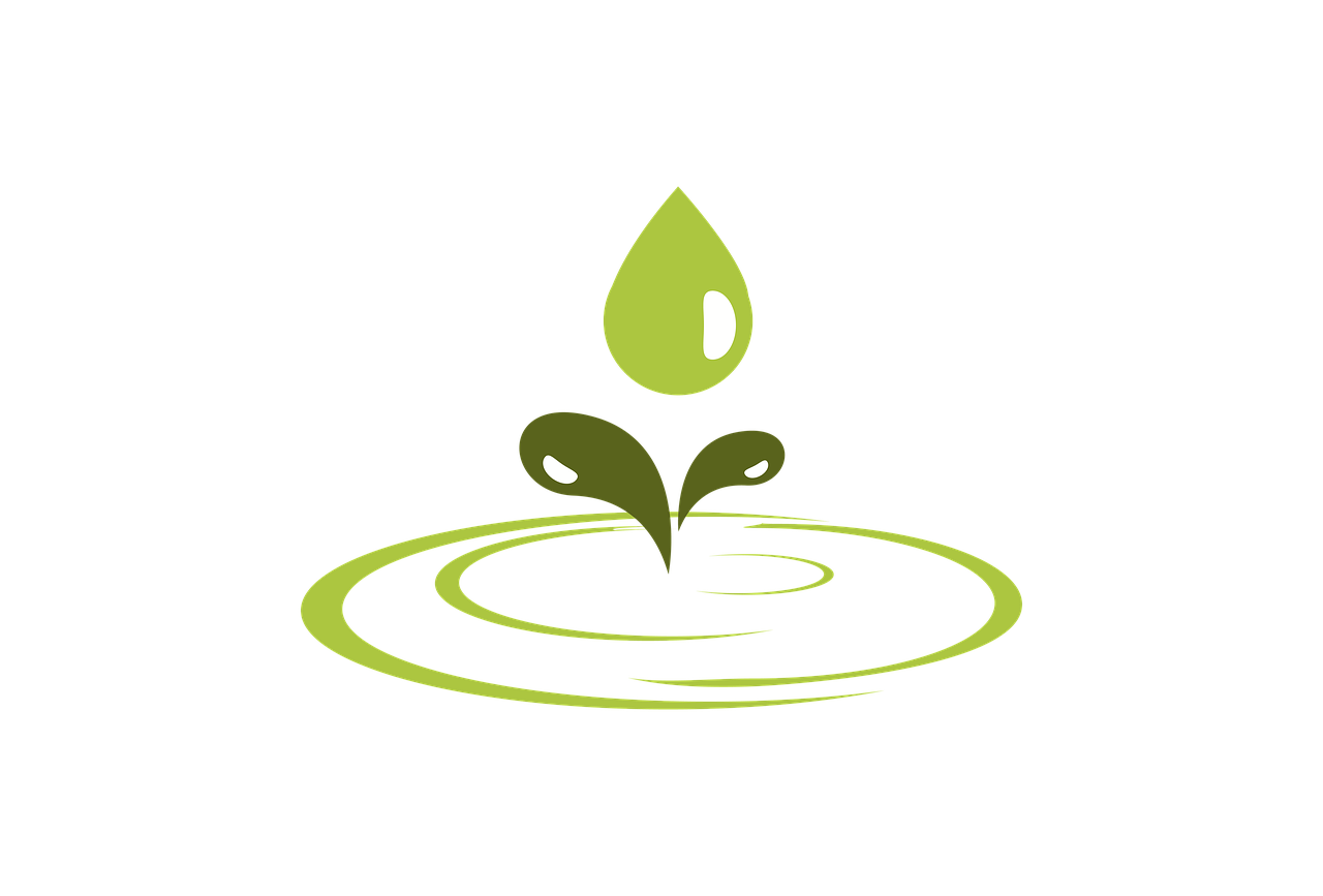 découvrez l'éco-tourisme, une façon responsable de voyager qui préserve l'environnement tout en soutenant les économies locales. explorez des destinations authentiques, rencontrez des communautés engagées et savourez la beauté de la nature tout en respectant la planète.