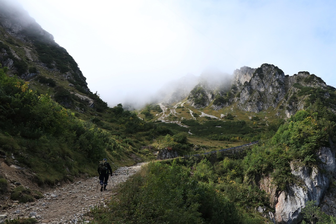 découvrez les meilleures randonnées en pleine nature, des sentiers pittoresques aux paysages époustouflants. préparez-vous à explorer des aventures inoubliables à travers des montagnes, des forêts et des parcs nationaux.