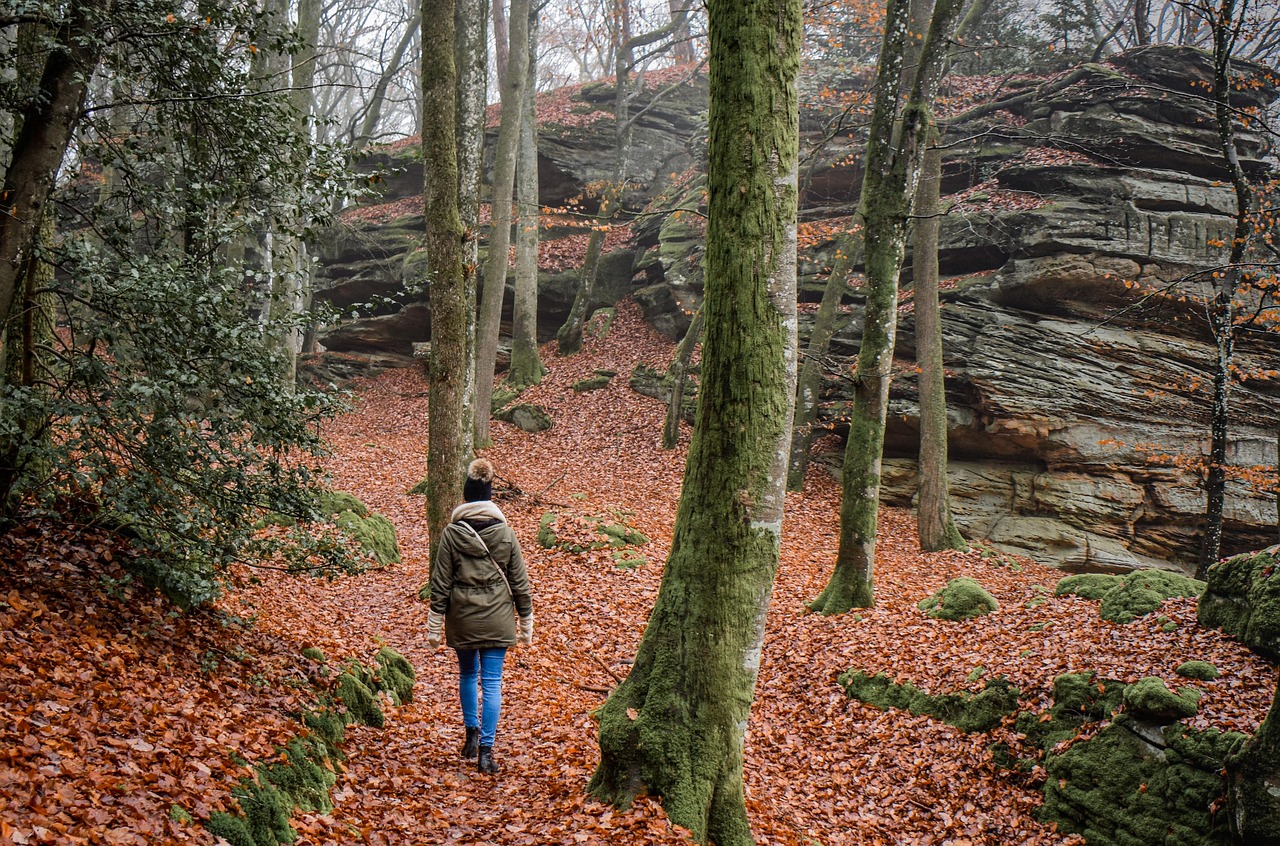 découvrez les meilleures sentiers de randonnée à travers des paysages époustouflants. que vous soyez novice ou expert, notre guide vous aidera à planifier votre prochaine aventure en plein air.