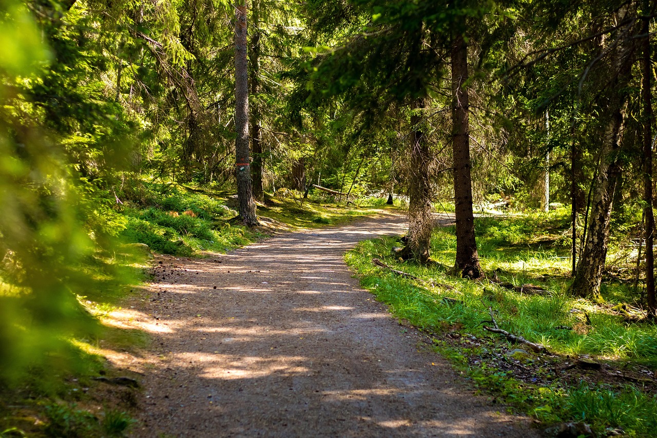 découvrez les merveilles des pays nordiques, de leur nature époustouflante à leur riche culture et traditions. plongez dans l'univers fascinant de la scandinavie, entre paysages enneigés, fjords majestueux et villes vibrantes. explorez les secrets des norvégiens, danois, suédois, finns et islandais.